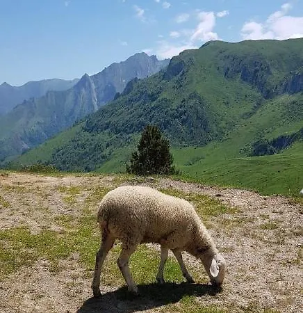 L' Aubisque أو-بون